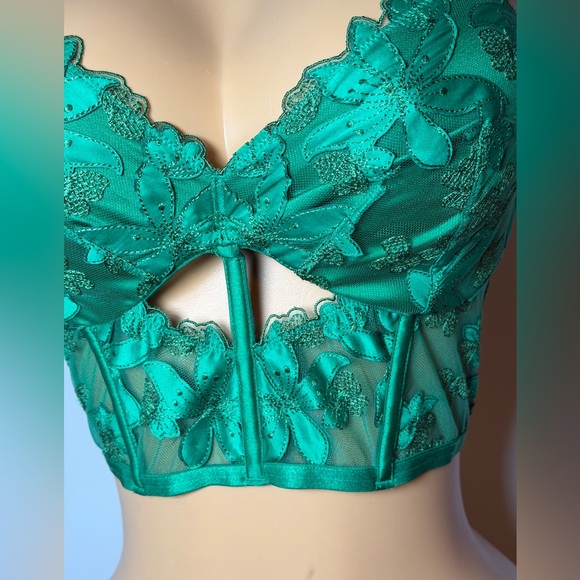 Victoria's Secret Very Sexy Ziggy Glam Embroidered Corset - Picture 4 of 5